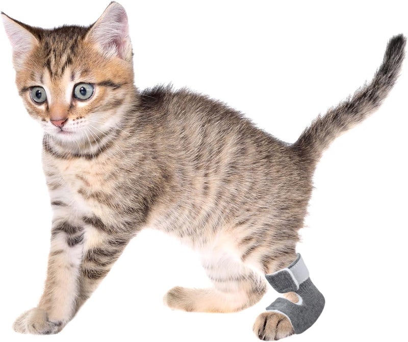 vomvomp 1 Pair Cat Hock Socks for Kitten Sore Hocks Ankle Protective for Cats Recovery and Relief Wound Pain - Image 5
